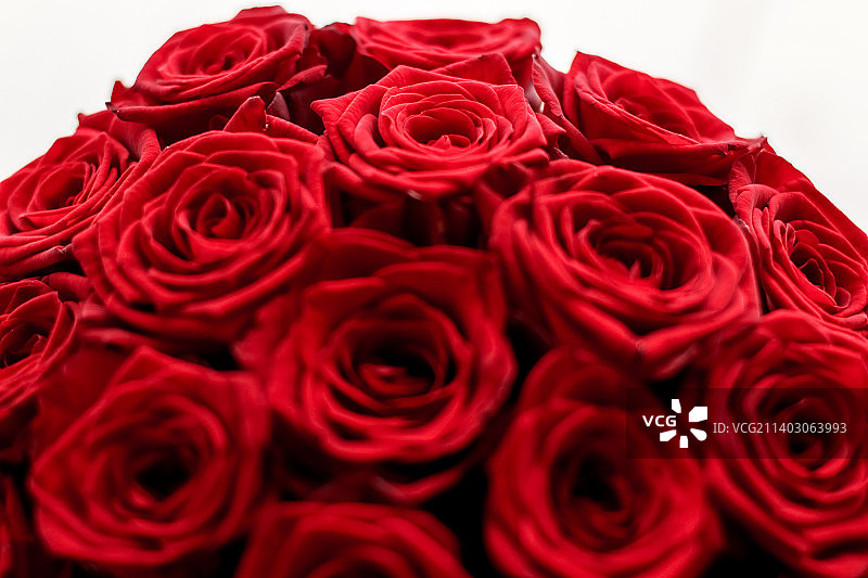 华丽的红色玫瑰花束图片素材