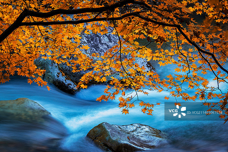 秋意盎然图片素材