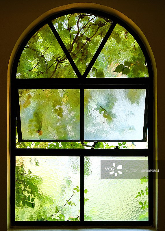 窗外的绿色图片素材