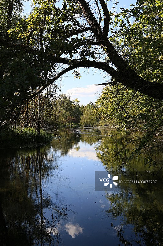 德国布赖萨赫猎人庄园士兵头地 Rappennestgieen的莱茵瓦尔德图片素材