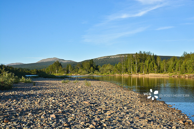 乌拉尔北部地区的针叶林河流，俄罗斯图片素材