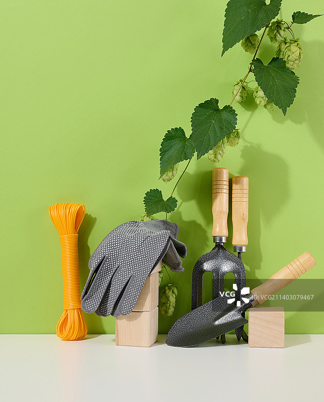 用于花园中加工床和绿色背景上的纺织手套的园林工具图片素材