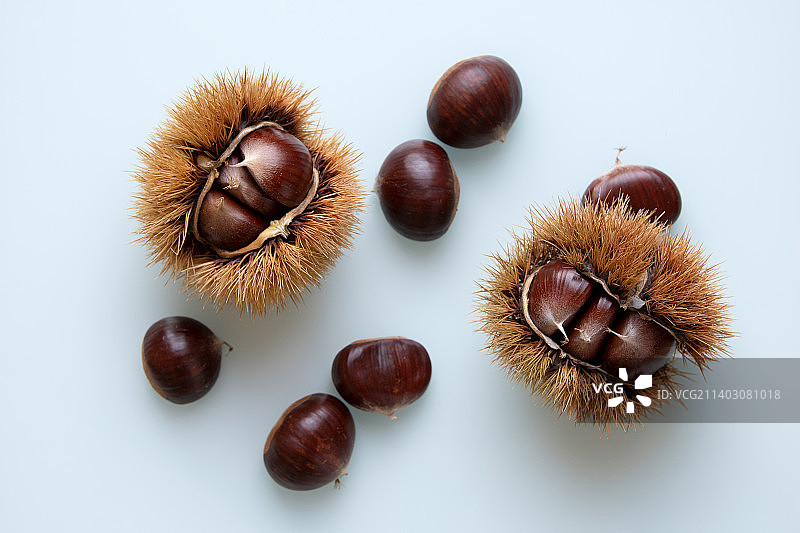 奥地利格拉茨，白色背景上栗子的高角度视图图片素材