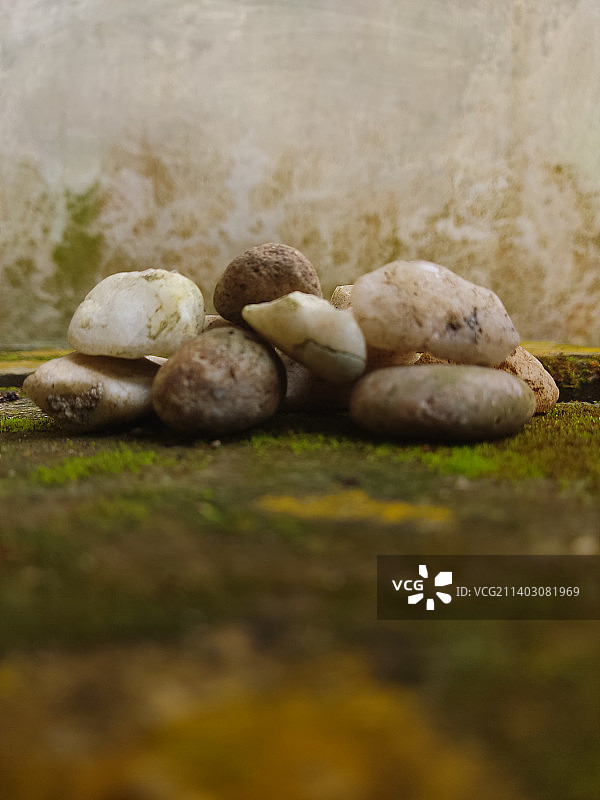 田野上的石头特写图片素材