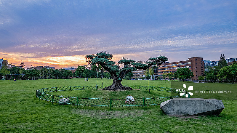 夕阳下的宁波大学图片素材