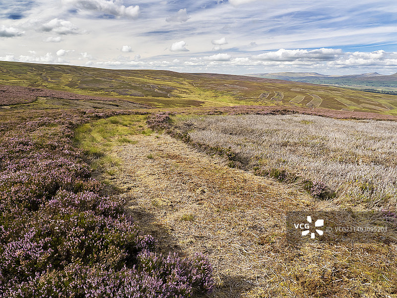 英国约克郡博兰荒原上受松鸡射击业破坏的石楠荒地图片素材