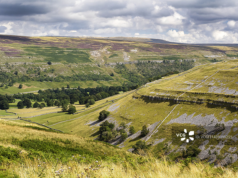 俯视英国约克郡山谷Littondale的Arncliffe，荒原上石楠花盛开图片素材