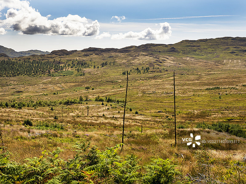 英国湖区哈特费尔山杜顿河谷清理后的前针叶树种植园，以实现本地再生图片素材