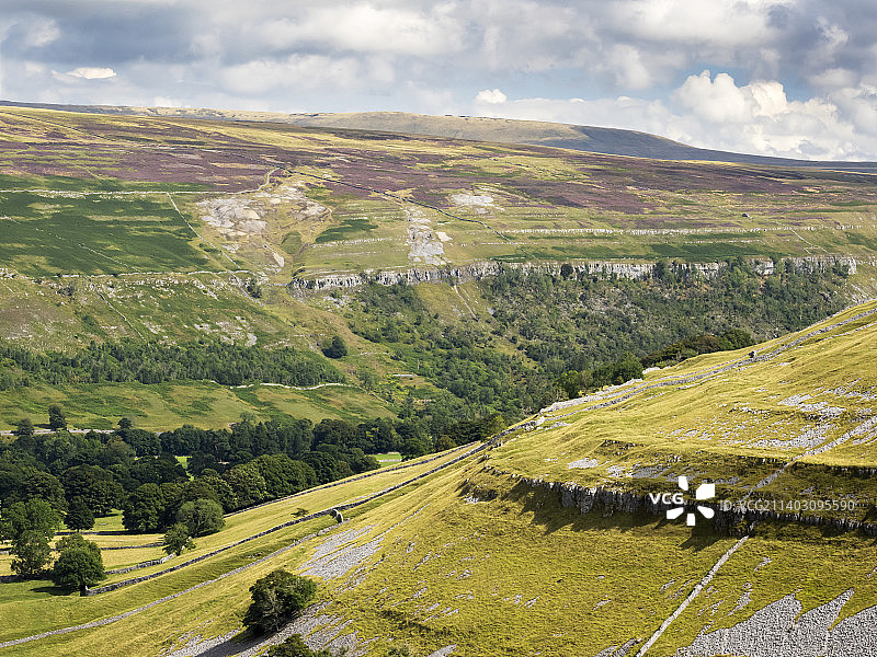 俯视英国约克郡山谷Littondale的Arncliffe，荒原上石楠花盛开图片素材