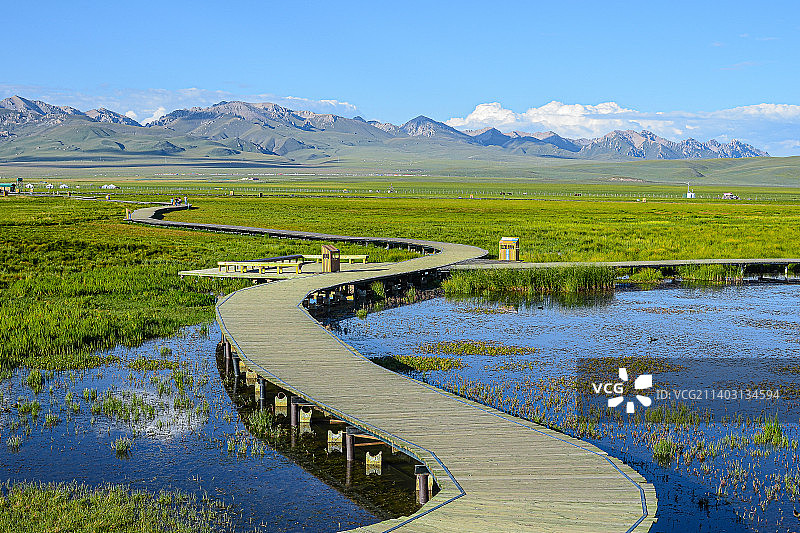 中国四川若尔盖热尔大坝草原花湖风景区、湿地、水鸟、野花和风光图片素材