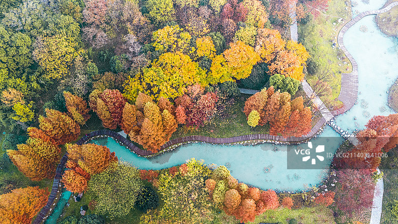 层林尽染，花溪如画，航拍于扬州瘦西湖万花园图片素材
