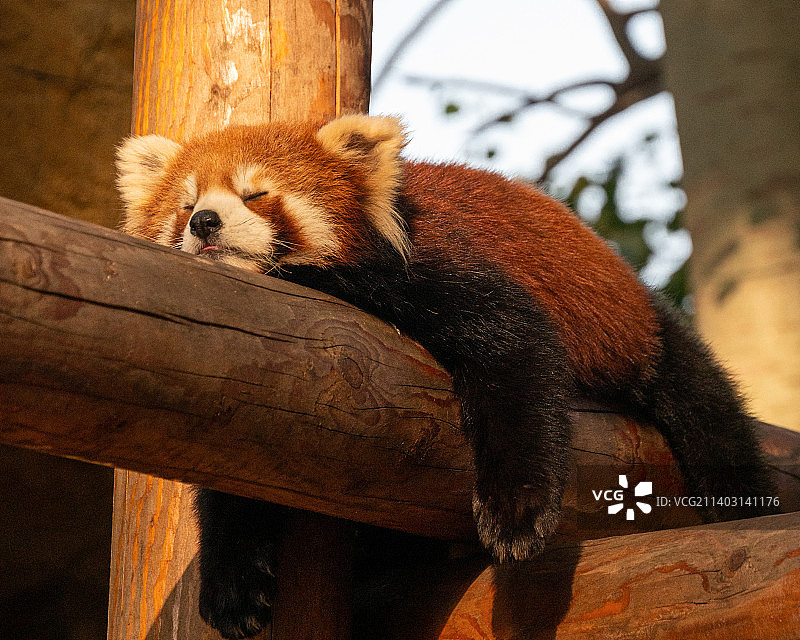 北京野生动物园图片素材