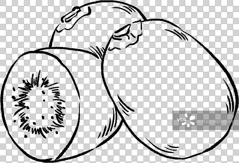 猕猴桃图片素材