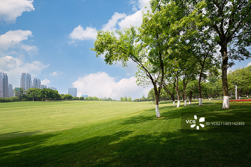 公园里的树林与草坪中央公园图片素材