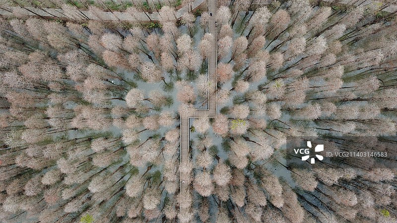 肇庆七星岩桃花岛图片素材