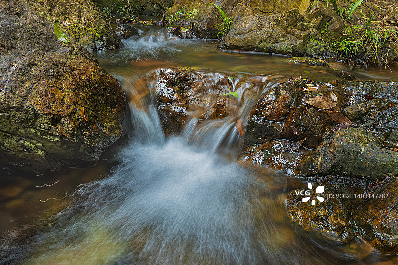 溪流源泉图片素材