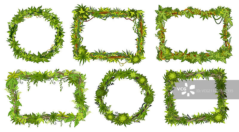 卡通丛林热带藤蔓框架图片素材