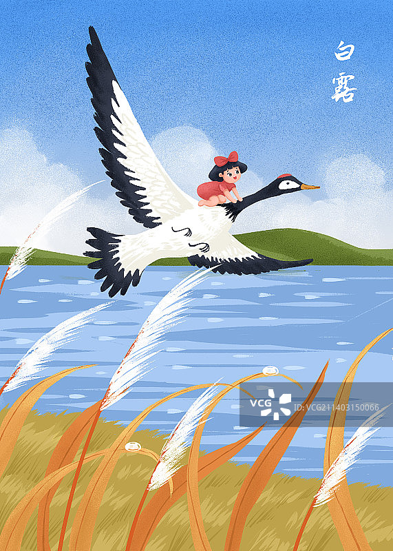 白露节气插画图片素材