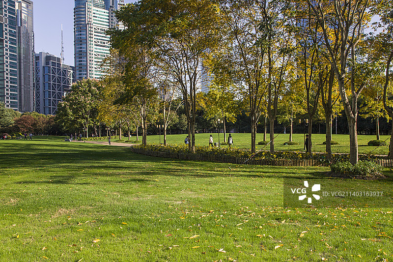 上海陆家嘴城市公园图片素材