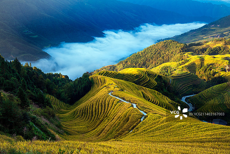 龙胜龙脊梯田图片素材