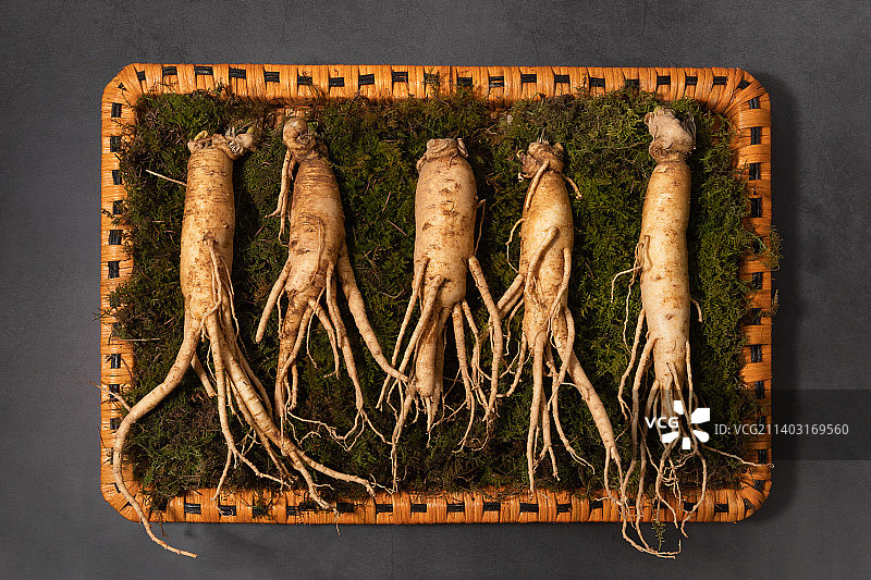东方药用根植物新鲜人参图片素材