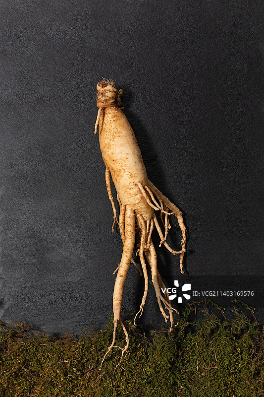 东方药用根植物新鲜人参图片素材