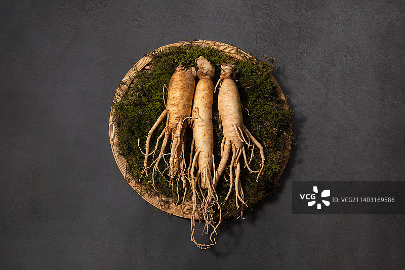 东方药用根植物新鲜人参图片素材