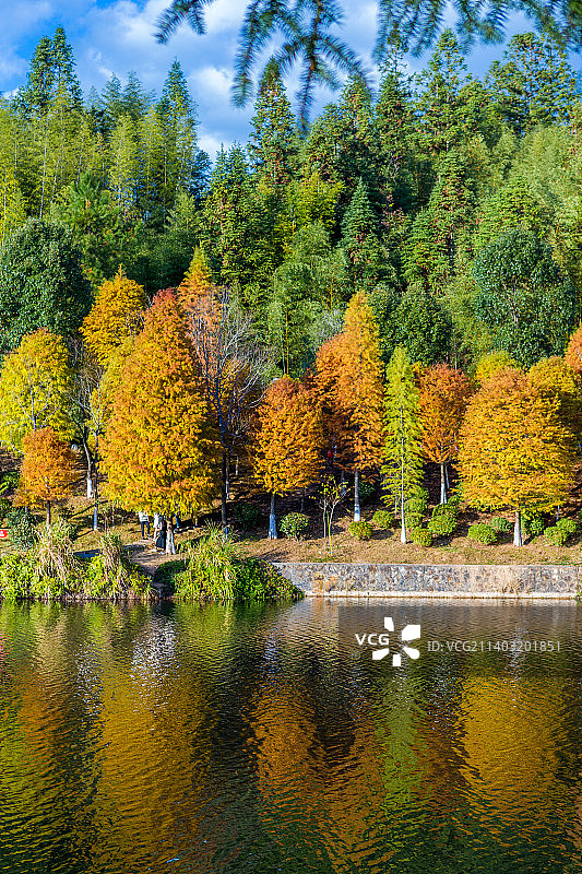 上杭古田山庄五龙湖秋天图片素材