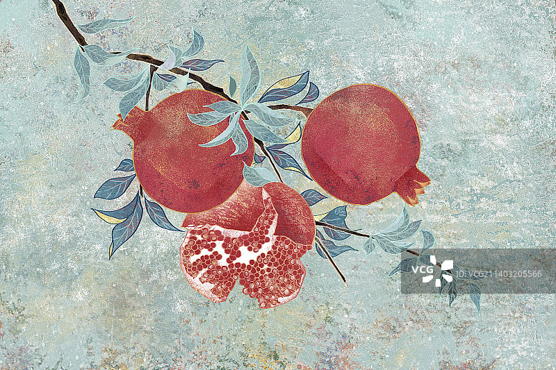 肌理岩彩风格植物系列五月石榴图片素材