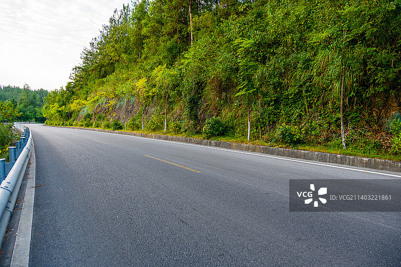 清晨森林的公路图片素材