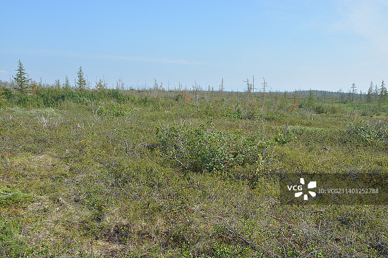 俄罗斯普托拉纳高原田野天空美景图片素材