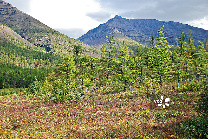 俄罗斯普托拉纳高原风景图片素材