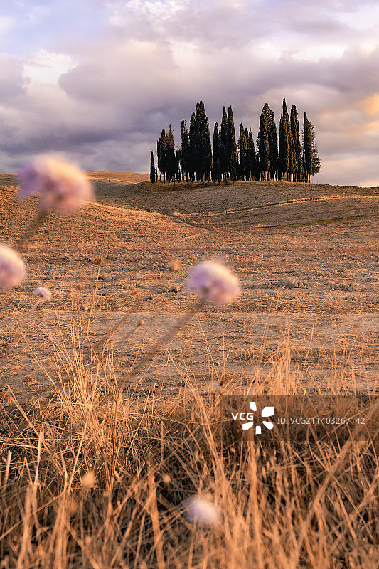 意大利日落时分田野风光图片素材