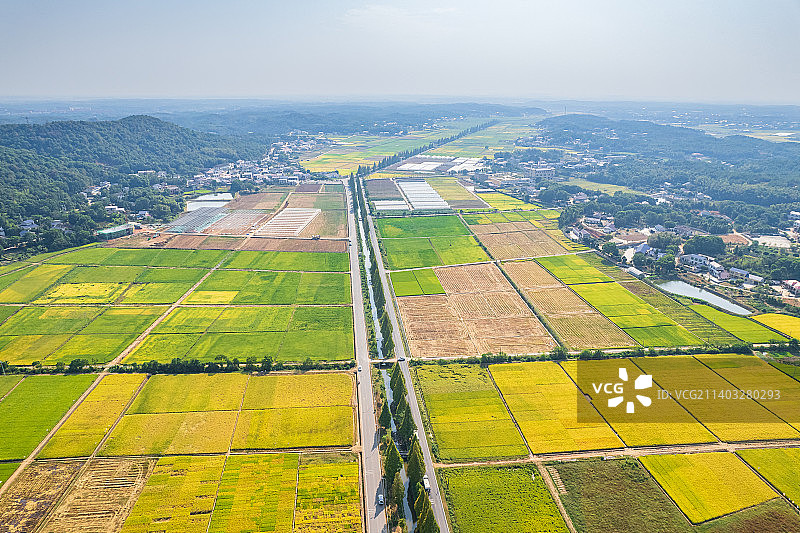 湖南省长沙县春华镇金秋田园风光图片素材