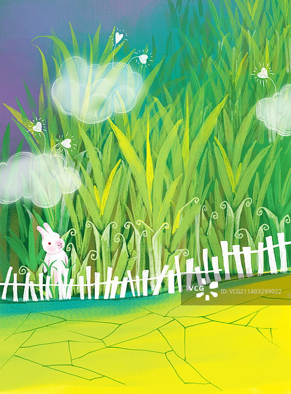 绿草从和小白兔图片素材