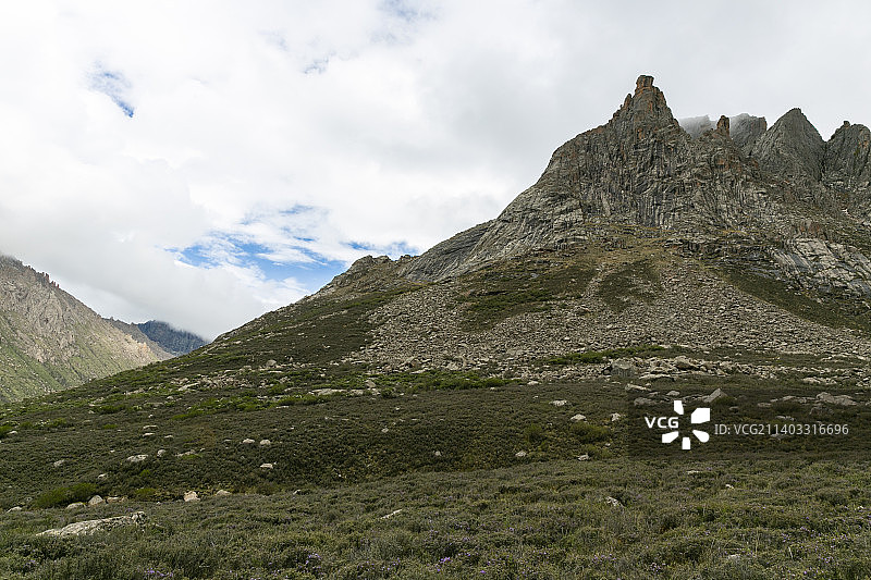 莲宝叶则图片素材