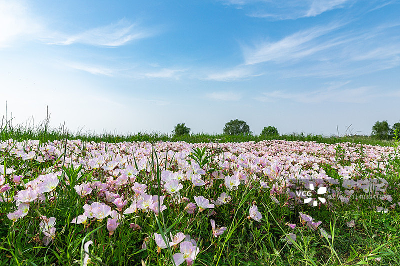苏州漕湖风光图片素材