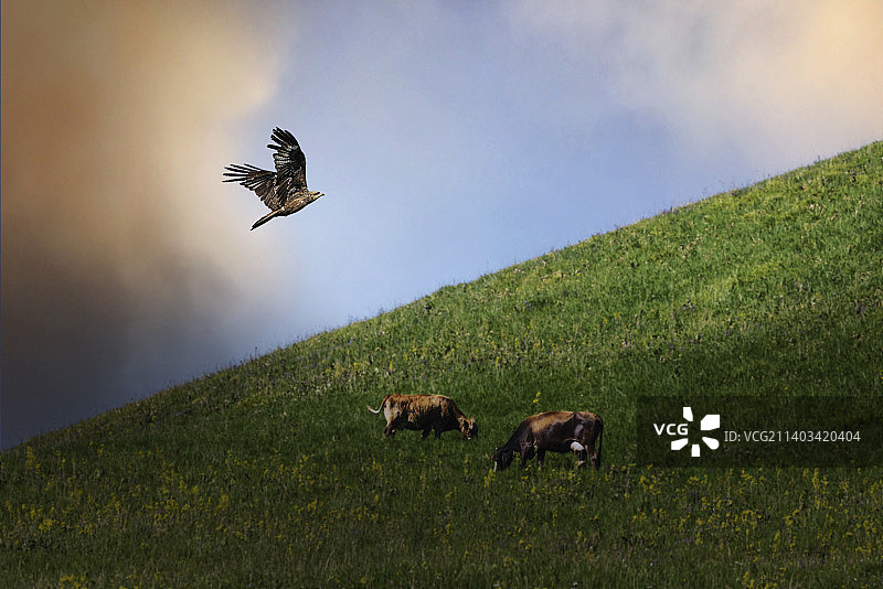 琼库什台掠影图片素材