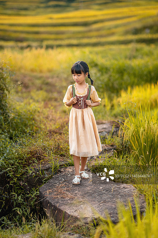 秋天的稻田中有一个背着背篓的小姑娘图片素材