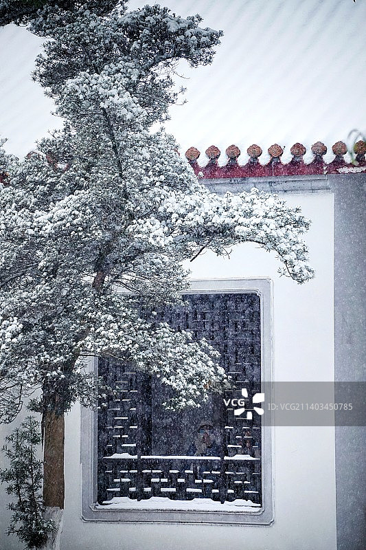 白色世界｜湖南大学岳麓书院冬日雪景图片素材