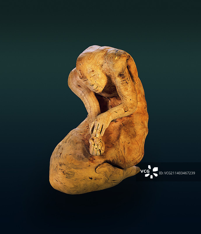 乞讨者图片素材