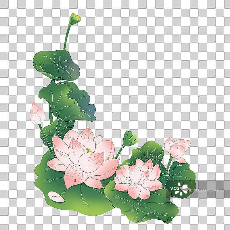 插画荷花荷叶免抠素材图片素材