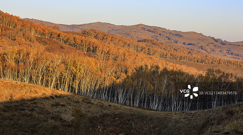 内蒙古坝上北沟金秋时节清晨草原风光图片素材