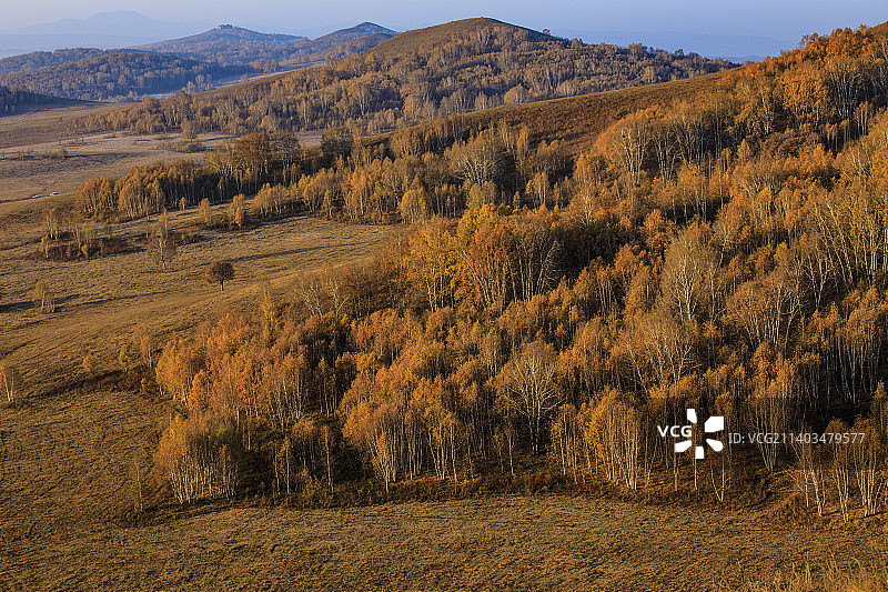内蒙古坝上北沟金秋时节清晨草原风光图片素材