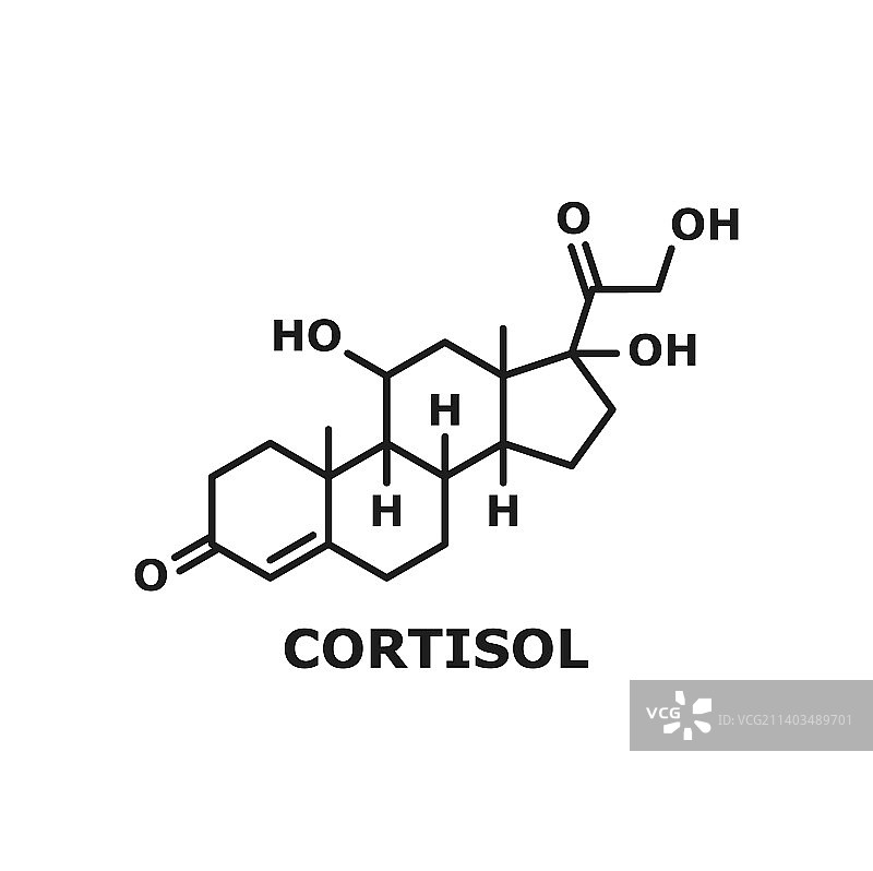 皮质醇化学分子肾上腺激素式图片素材