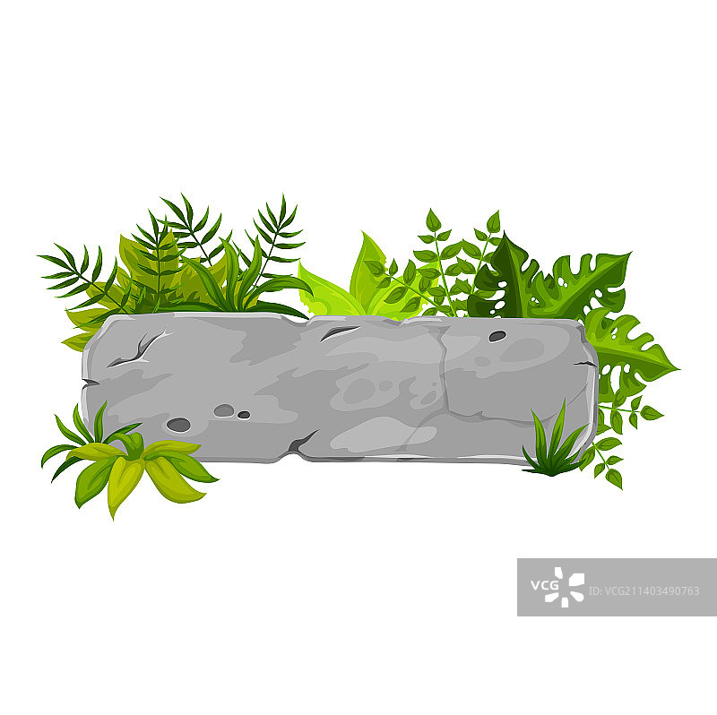 丛林石牌岩板热带藤本图片素材