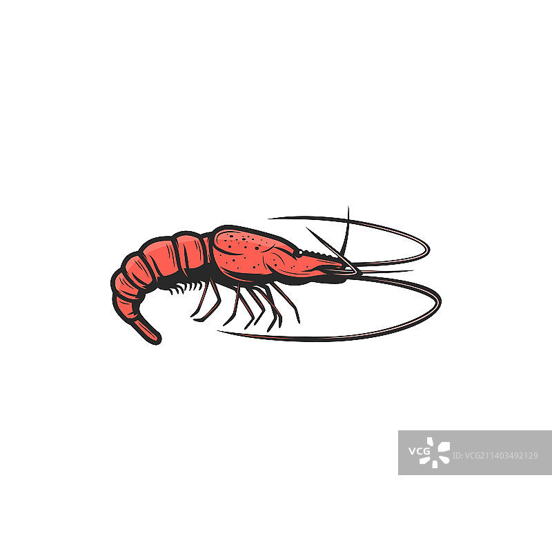 红色鲜虾海鲜图标图片素材