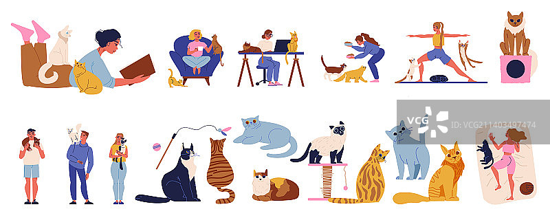 猫咪爱好者素材图片素材