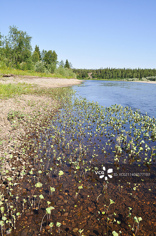 俄罗斯乌拉尔山脉湖泊风光图片素材