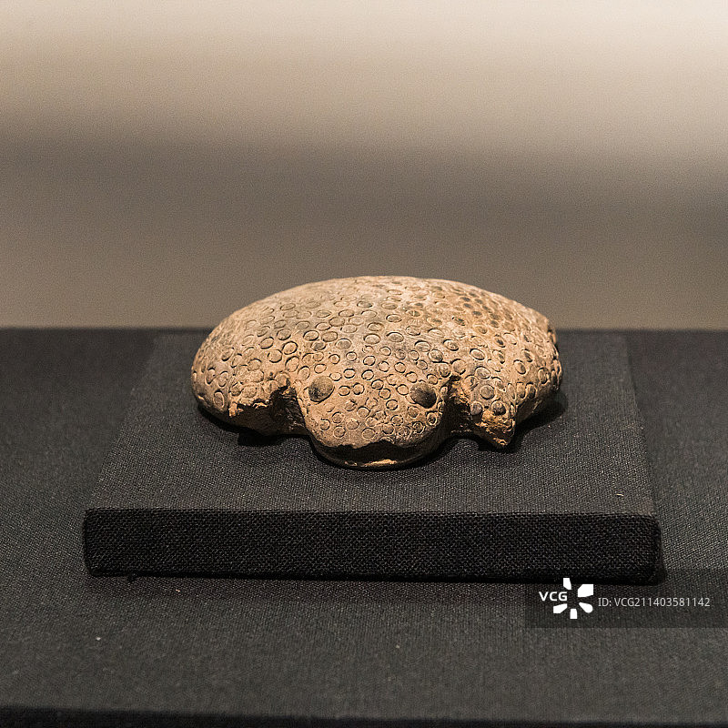 中国夏代祭祀用品，陶蟾蜍图片素材